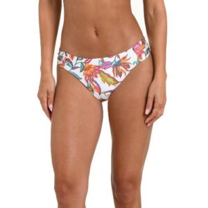 Bottom Sunshine 79 Wild Vines