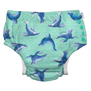 Pañal de agua Green Sprouts Eco Snap Seafoam Sea Lions